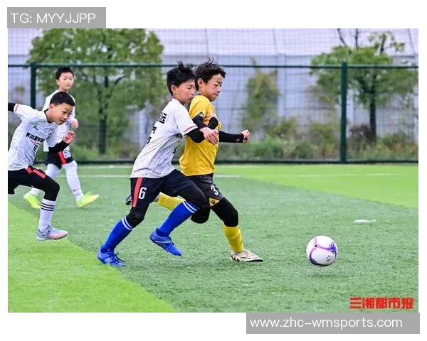 足球y引领新潮流探讨未来足球发展的创新与挑战